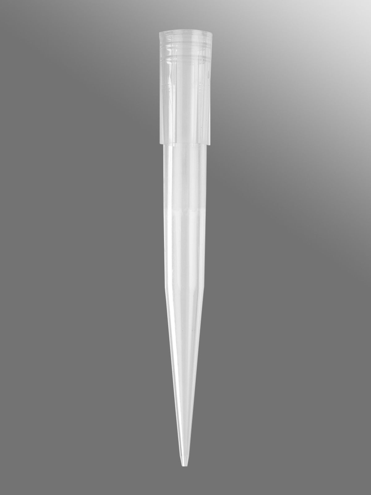 t 1000
